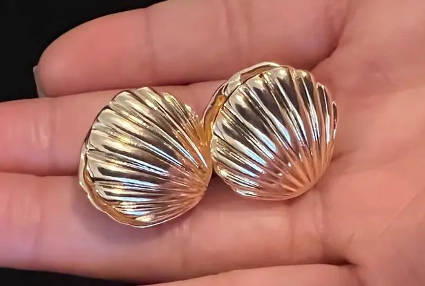 Boutique Gold Seashell Large Stud Earrings