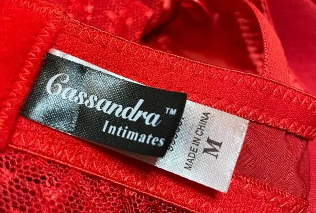 Cassandra Intimates Red Sheer Babydoll Chemise Size M