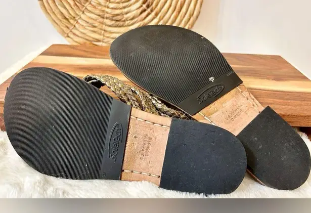 Bernardo Miami Thong Sandal in Bronze Metallic Size 6