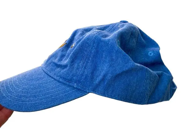 Disney  Winnie the Pooh Chambery Blue Embroidered Baseball Cap Hat