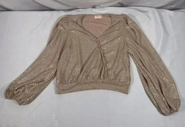 Hailey & Co. Sparkly Gold Blouse Size Medium