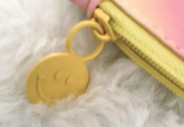 Ipsy ⭐️NEW⭐️ Multicolor Pastel Glam Bag