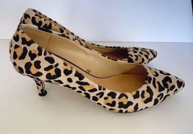 ZARA  Kitten Heel Fall Trend Leopard Print Shoes