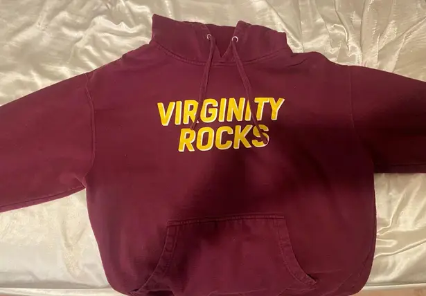 Danny Duncan Virginity Rocks hoodie