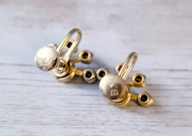 Vintage Bugbee & Niles Screw Back Earrings
