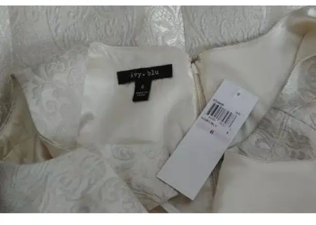 Ivory Silver Brocade Pleated Sleeveless ModCloth Cocktail Dress by Ivy + Blu Size 6