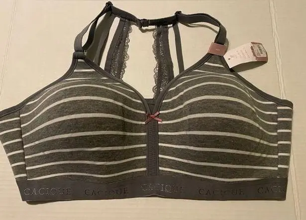 Lane Bryant  Cacique Cotton Grey Striped Racerback Bra 46C NWT