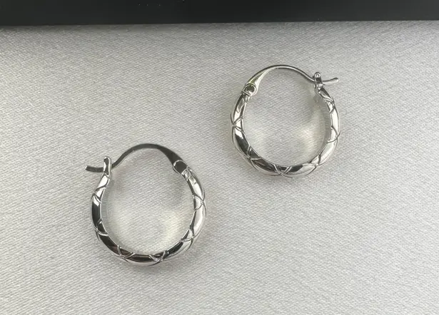 Polished Metal Texture Silver Hoop Earrings for Women