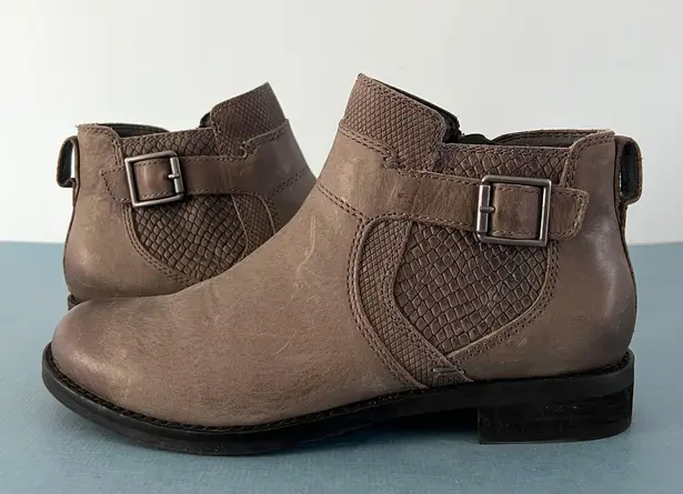 Abeo Yana Gray Leather Snakeskin Buckle Ankle Boots Size 6