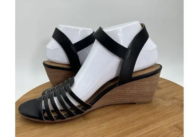 Susina Women's Black Gladiator Ankle Strap Terra Wedge Sandal 9