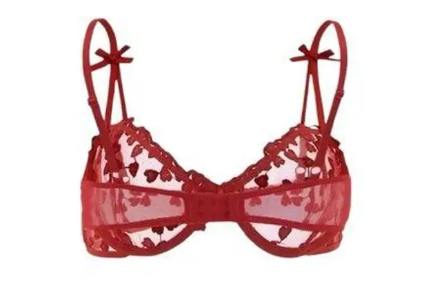 Embroidered Mesh Underwire Lingerie Set (M)