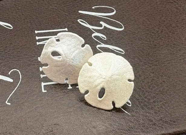 Vintage Gi Gi Sand Dollar Earrings w/ Original Card 80s–90s Coastal Silver