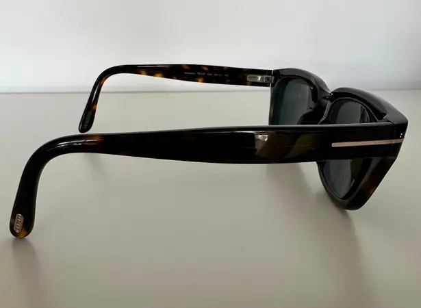 Tom Ford Snowden 50mm Acetate Wayfarer Sunglasses in Havana Tortoise Brown