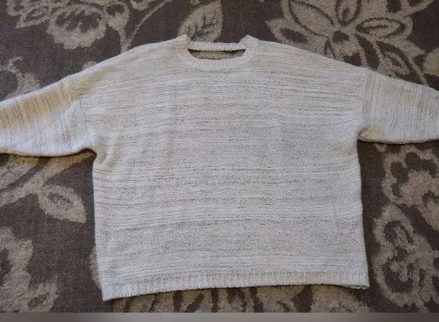 Bishop and Young Anthropologie gray and white sweater