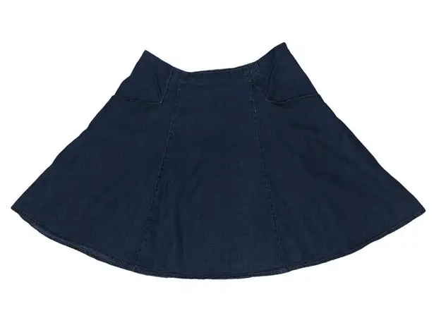 Fashion Web Denim Skirt