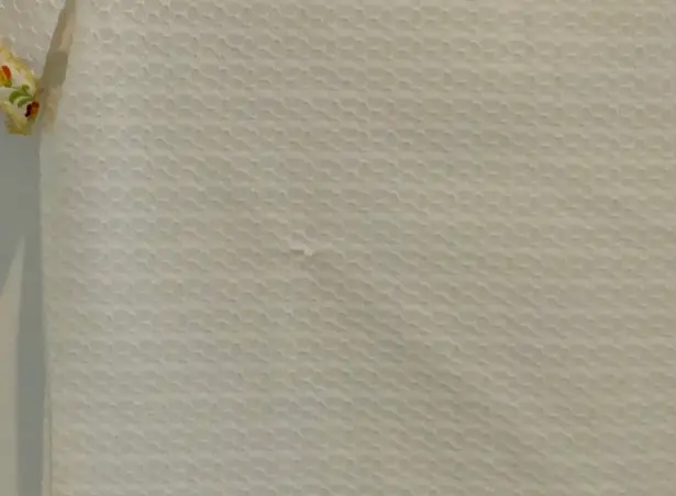 Catalina NWT NOS! Vintage Sz M Absolutely Adorable Sheer Top / Swimsuit Cover Up