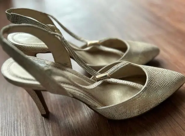 Impo Medium Pointy Heels with Golden touch For Women