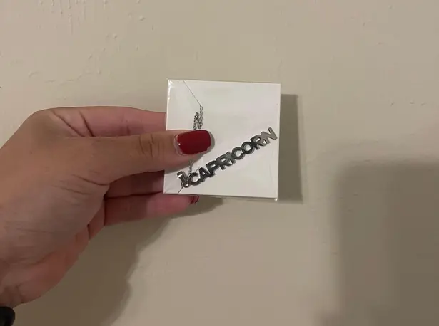 Stainless Steel Capricorn Zodiac Necklace Silver