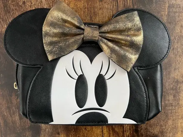 Disney Bioworld |  Minnie Mouse cosmetic bag