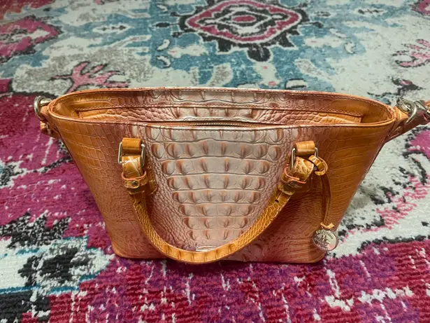 Brahmin Purse