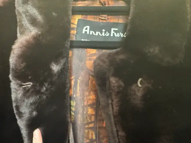 Annis Furs Vintage Fur Coat