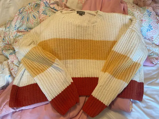 Francesca's Sweater