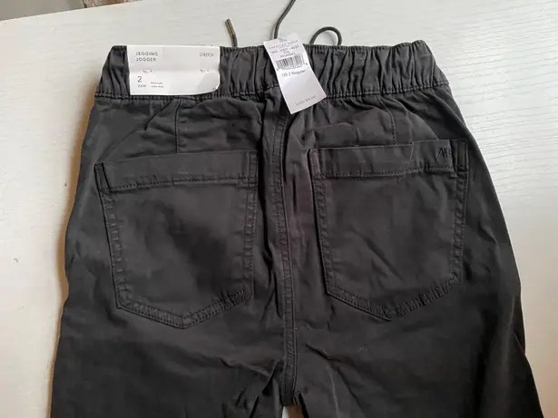 American Eagle Outfitters Jogger Pants