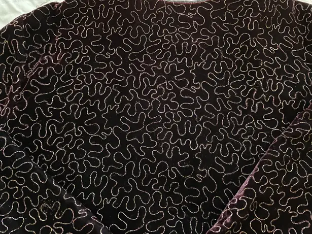 Maggie McNaughton Vintage Velvet Maroon With Gold Embroidery Button Up Blazer, size 24W