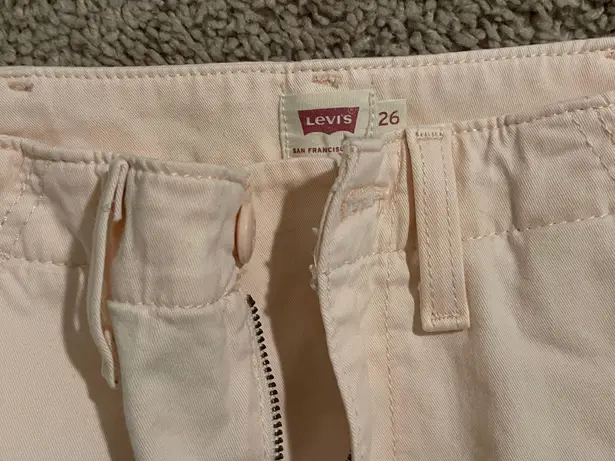 Levi's Cargo Pants