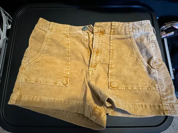 American Eagle Outfitters Corduroy Shorts