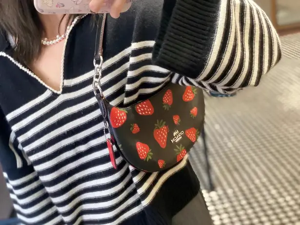 Coach Payton Hobo With Wild Strawberry Print CH330