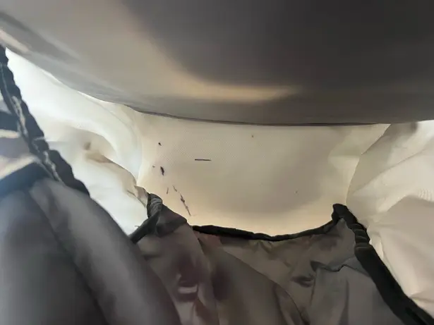 The North Face  Jester Backpack thumbnail 9