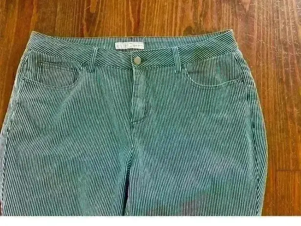 Cato's Denim Railroad Striped High Rise Skinny Crop Jeans,16W Blue