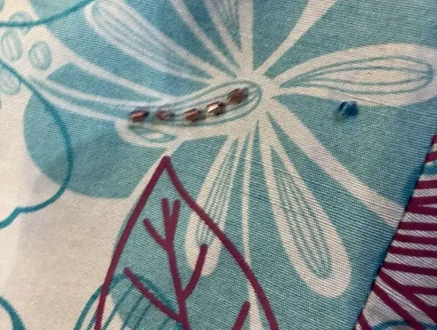 Vintage Papell Petites Pants Womens 4P Used 100% Silk Beaded