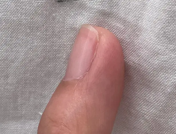 New Khaadi Floral Embroidered Tunic Indian White Blue Kurta Size 14