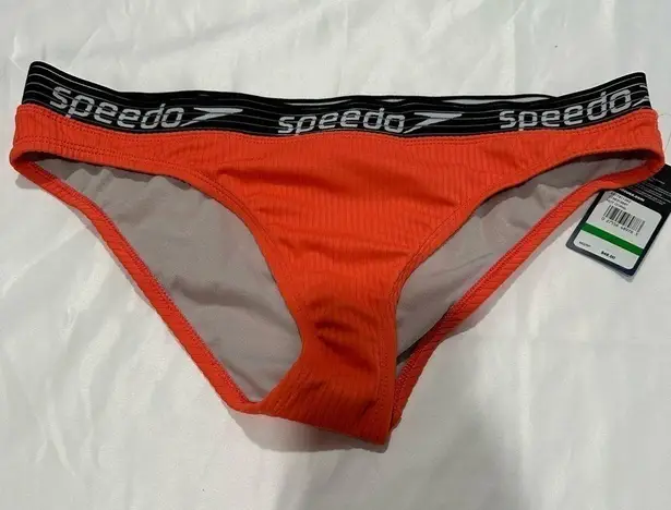 Speedo  Ribbed Logo 661 Bikini Bottoms - UPF 50+