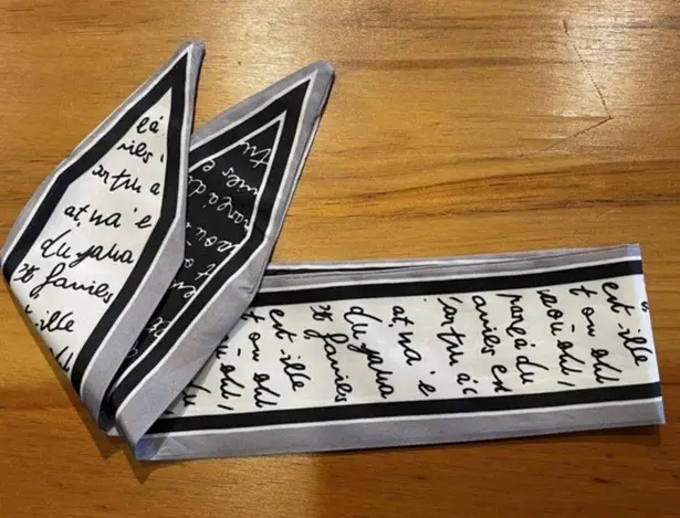 Thin Purse Scarf / Hairband / Scarf