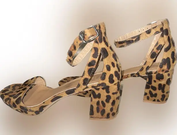 Rouge Helium Cheetah Wedged Heels w/ Gold Hardware - Size 9