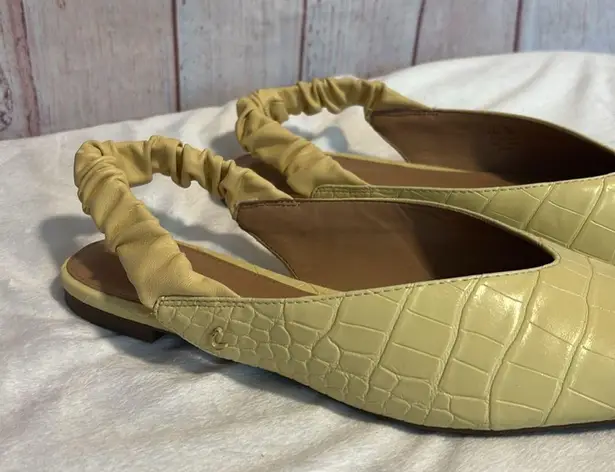 Circus by Sam Edelman Women's Omina Slingback Flat