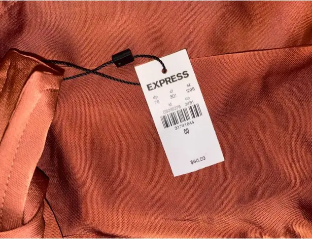 EXPRESS Satin Shorts 