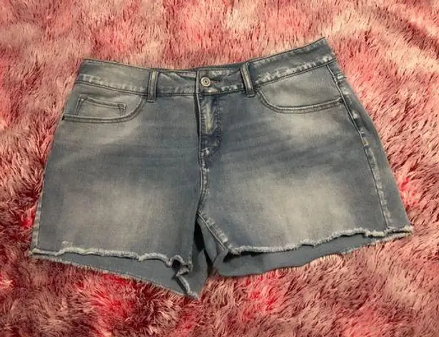 Time & Tru Denim Shorts 