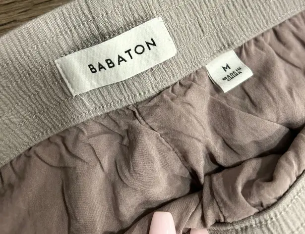 Aritzia Babaton Pants