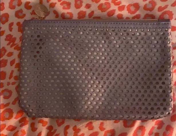 Ipsy cosmetics bag bluish silver color