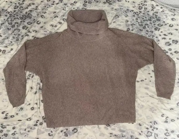 Cyrus Brown Turtleneck Sweater