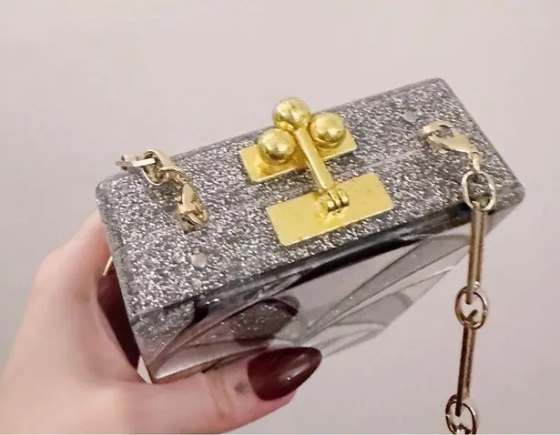 Edie Parker Carol Nouveau Acrylic Clutch Bag Mirror Crossbody Purse Glitter Silver