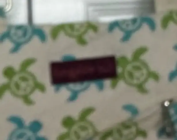 Bungalow 360 Crossbody Bag with Sea Turtle Print. Excellent used condition! Blue