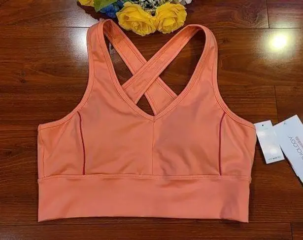 Activology Orange Sports Bra Size Large