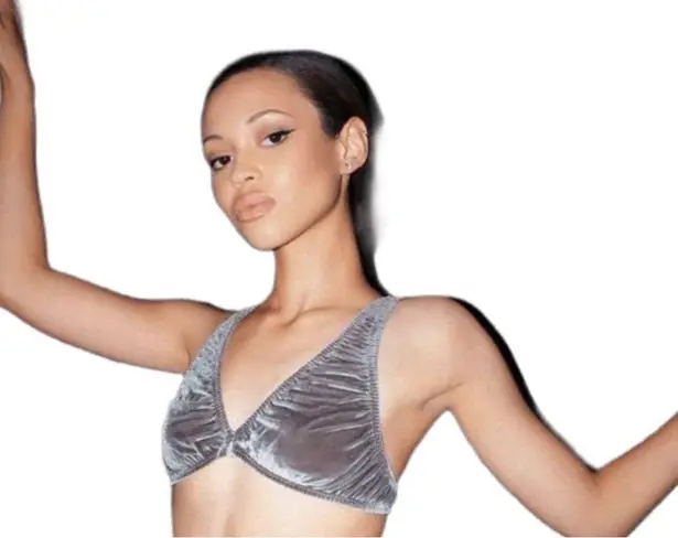 SKIMS amethyst velvet stretch plunge bralette | triangle bralette