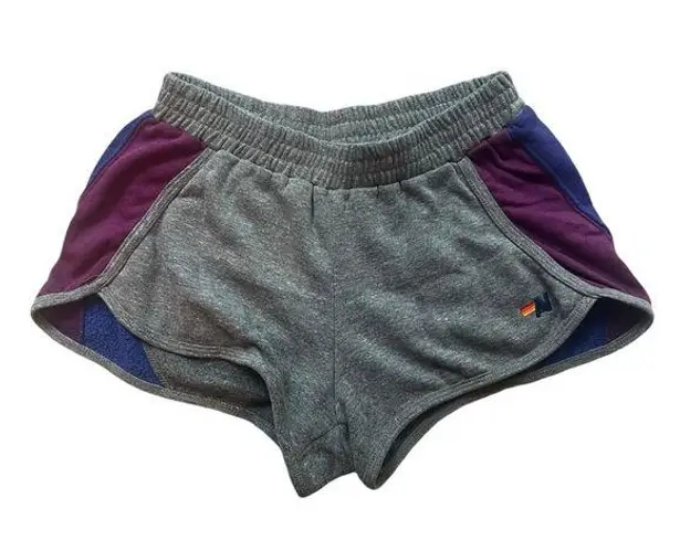 Aviator Nation Gray & Purple Sweat Shorts