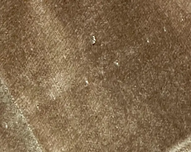 Vintage Brown Velvet Pants 60s 70s Unisex Sz 34x31 Bohemian Hippy Flower Power